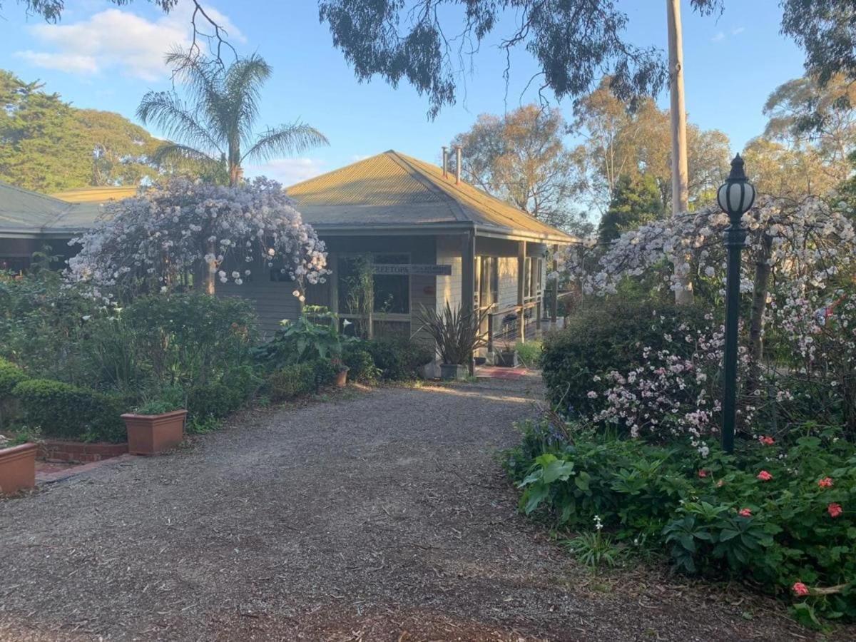 Blackburn Treetops Bed & Breakfast المظهر الخارجي الصورة